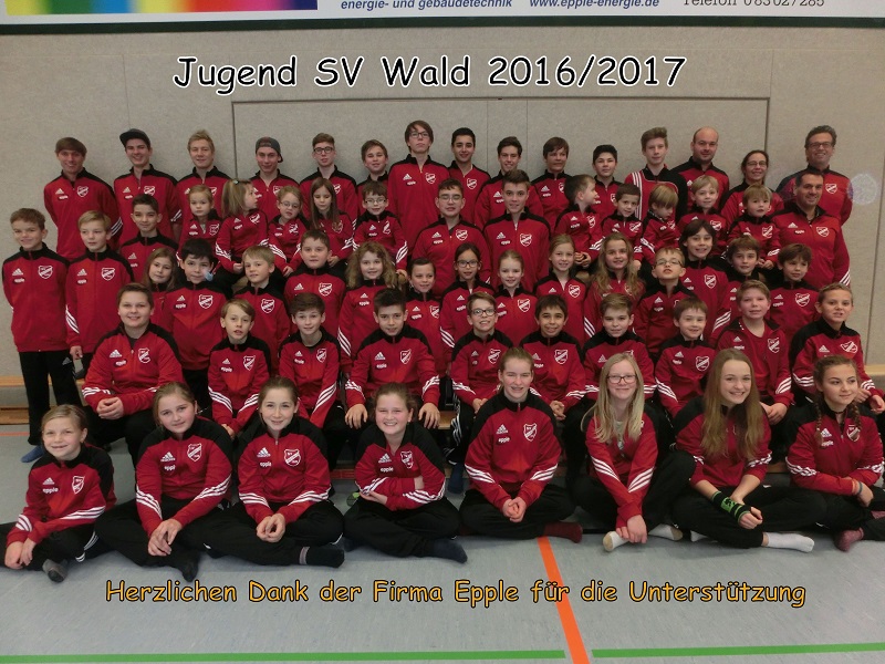 170206 SV Wald Sponsor